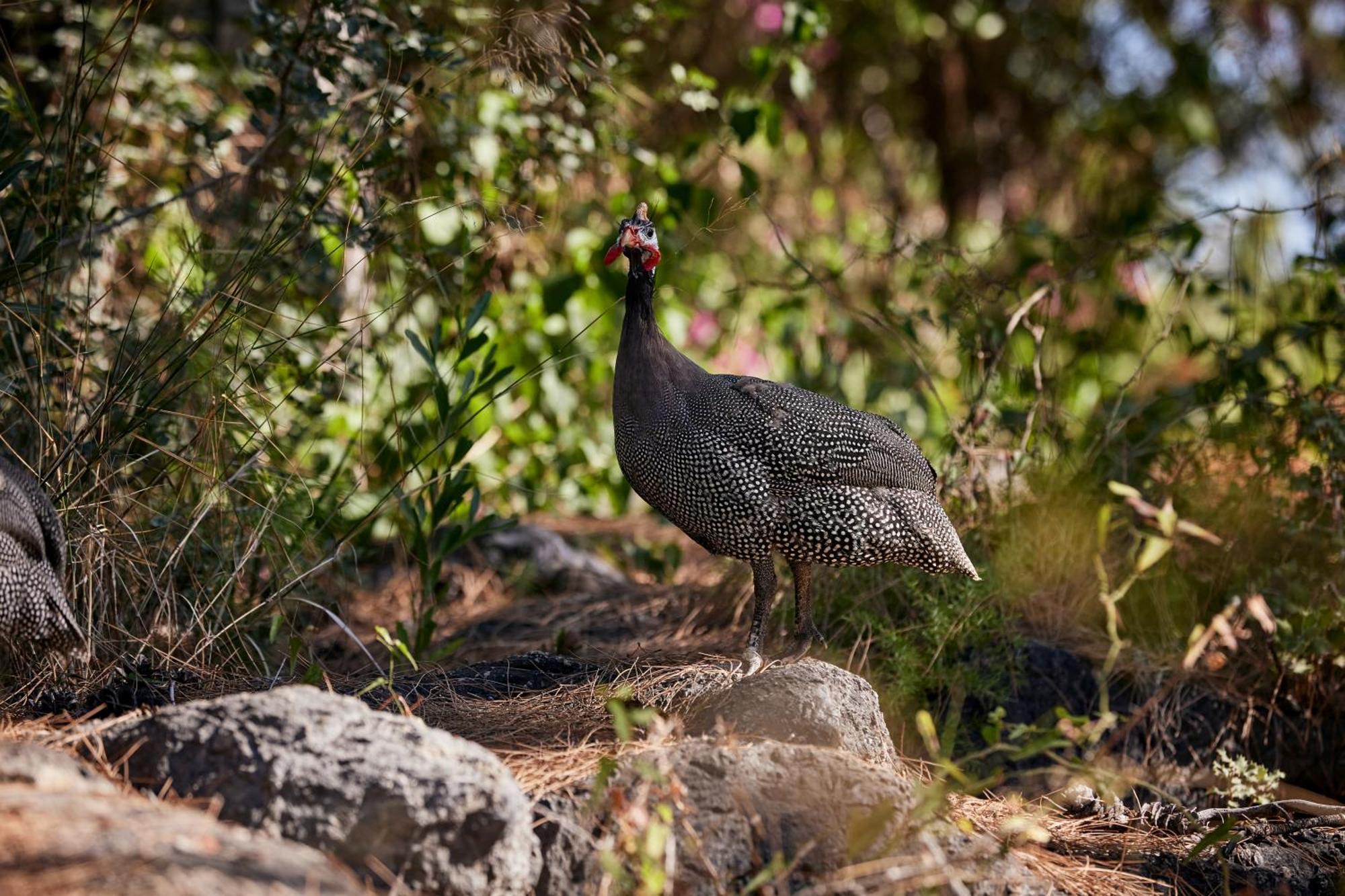 Robinson Sarigerme Park Dalaman Exterior foto